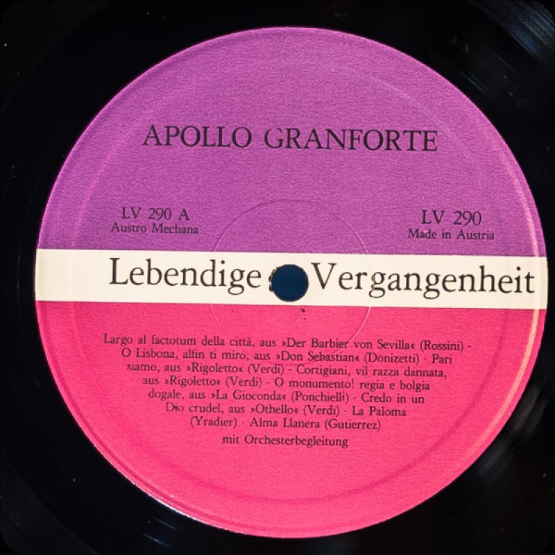 画像3: アポロ・グランフォート(Bs) (3)