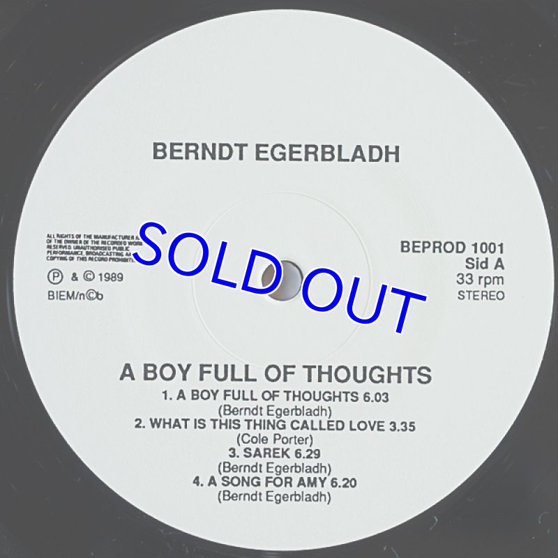 画像3: ペント・エゲルプラダ・トリオ/A BOY FULL OF THOUGHTS (3)