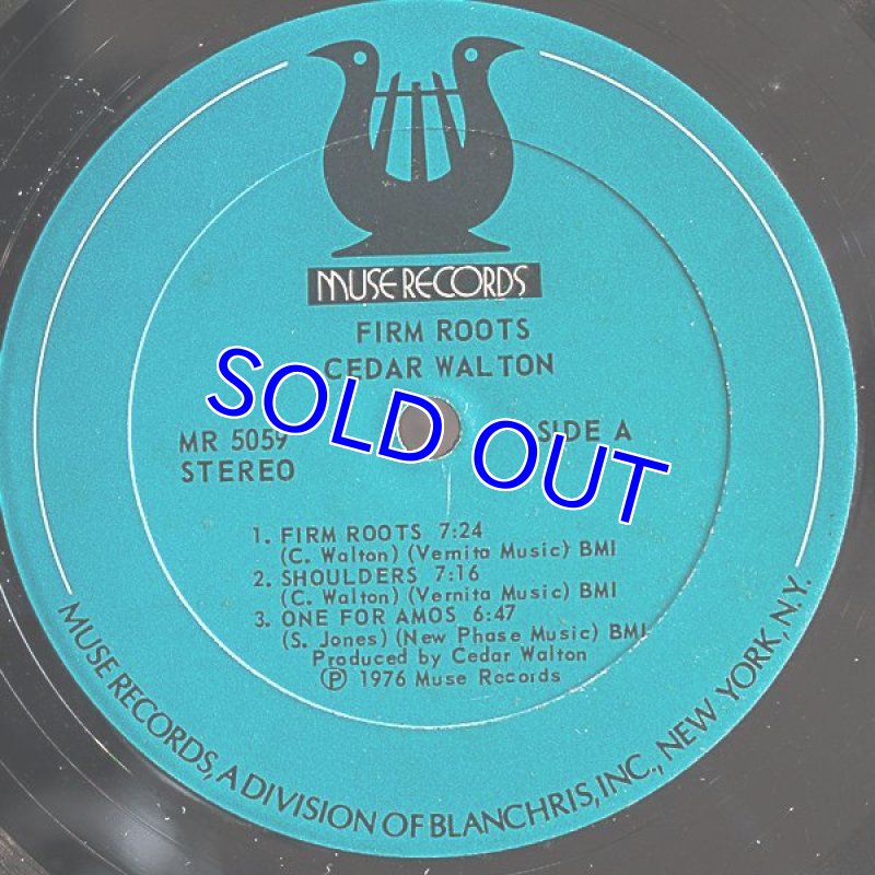 画像3: シダー・ウォルトン(p)/FIRM ROOTS (3)