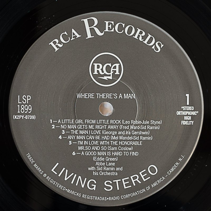 画像3: アビ・レーン/ホエアー・ゼアーズ・ア・マン (3)