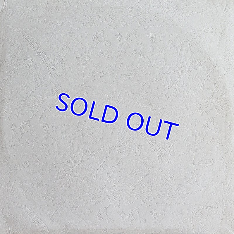 画像2: エリカ・モリーニ（Vn）/ベートーヴェン：ヴァイオリン・ソナタ第3番変ホ長調12-3 (2)