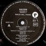 画像12: ワリド・アクル（pf）/ハイドン:ピアノ・ソナタ集（２BOXSET 16LP） (12)