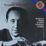 画像1: ウラディミール・ホロヴィッツ（pf）/PORTRAIT OF VLADIMIR HOROWITZ (1)