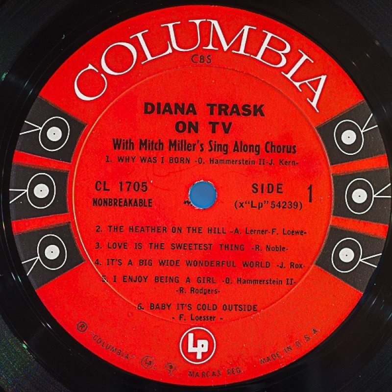 画像3: ダイアナ・トラスク/ON TV (3)