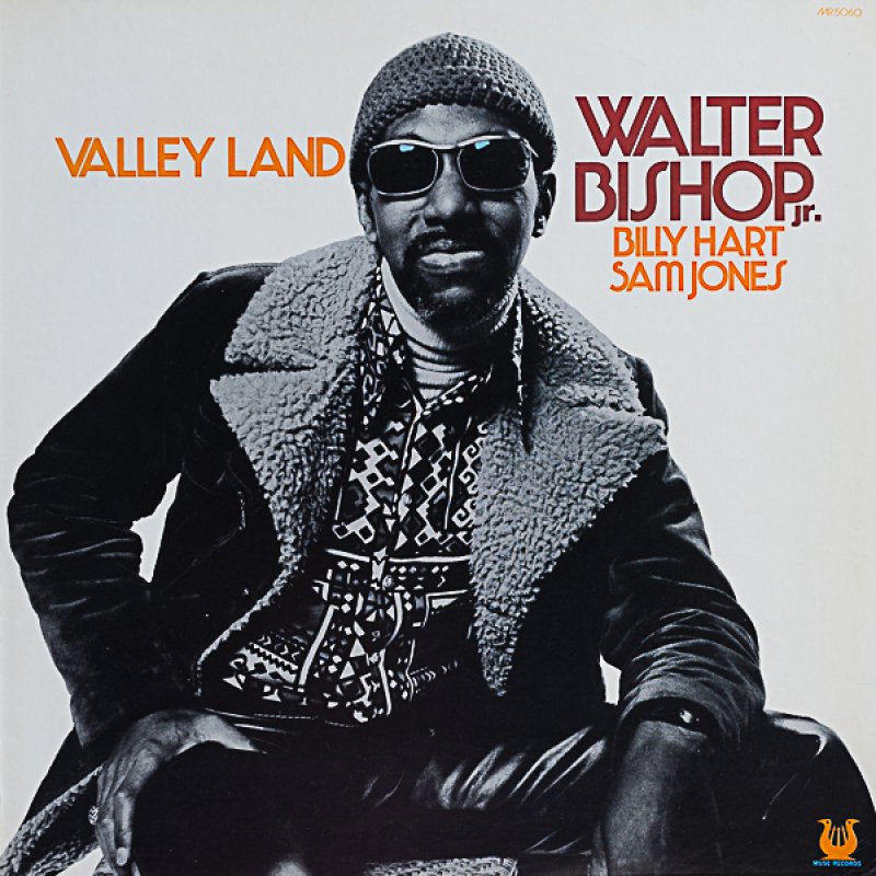 画像1: ウォルター・ビショップJr.（p）/VALLEY LAND (1)