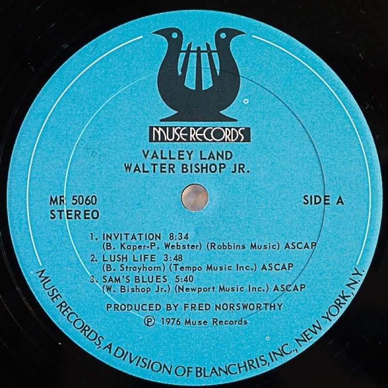 画像3: ウォルター・ビショップJr.（p）/VALLEY LAND (3)