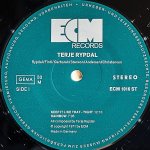 画像3: テリエ・リピダル（g）/TERJE RYPDAL（独盤） (3)