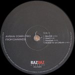 画像3: アヴィシャイ・コーエン・トリオ/FROM DARKNESS (3)