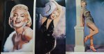 画像10: マリリン・モンロー　/Picture Records3点 (10)