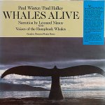 画像1: ポール・ウィンター/WHALES ALIVE（鯨の詩） (1)