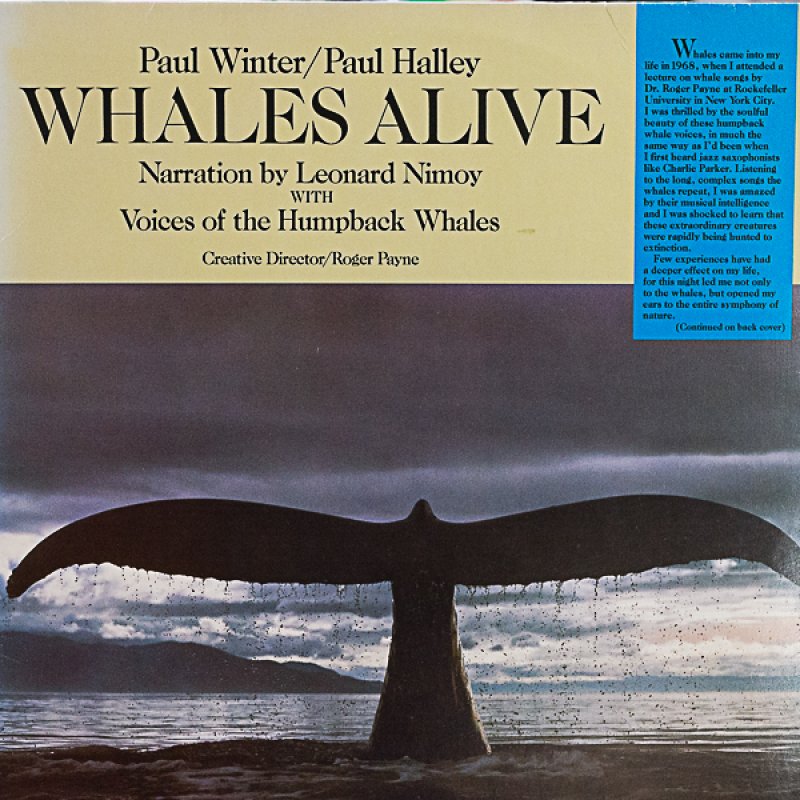 画像1: ポール・ウィンター/WHALES ALIVE（鯨の詩） (1)