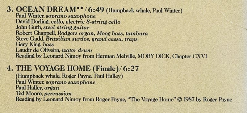 画像4: ポール・ウィンター/WHALES ALIVE（鯨の詩） (4)