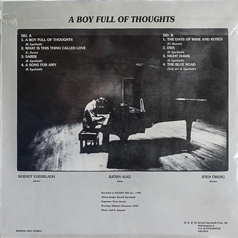 画像2: ベント・エゲルプラダ・トリオ/A BOY FULL OF THOUGHTS (2)