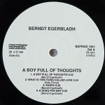 画像3: ベント・エゲルプラダ・トリオ/A BOY FULL OF THOUGHTS (3)